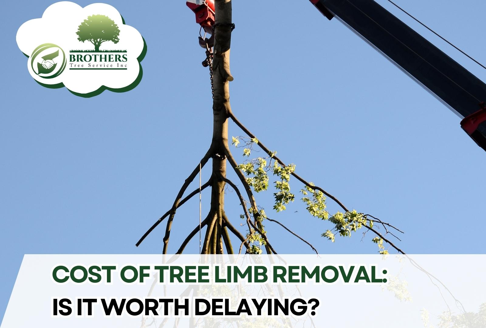Arborist removing a large tree limb near a house.