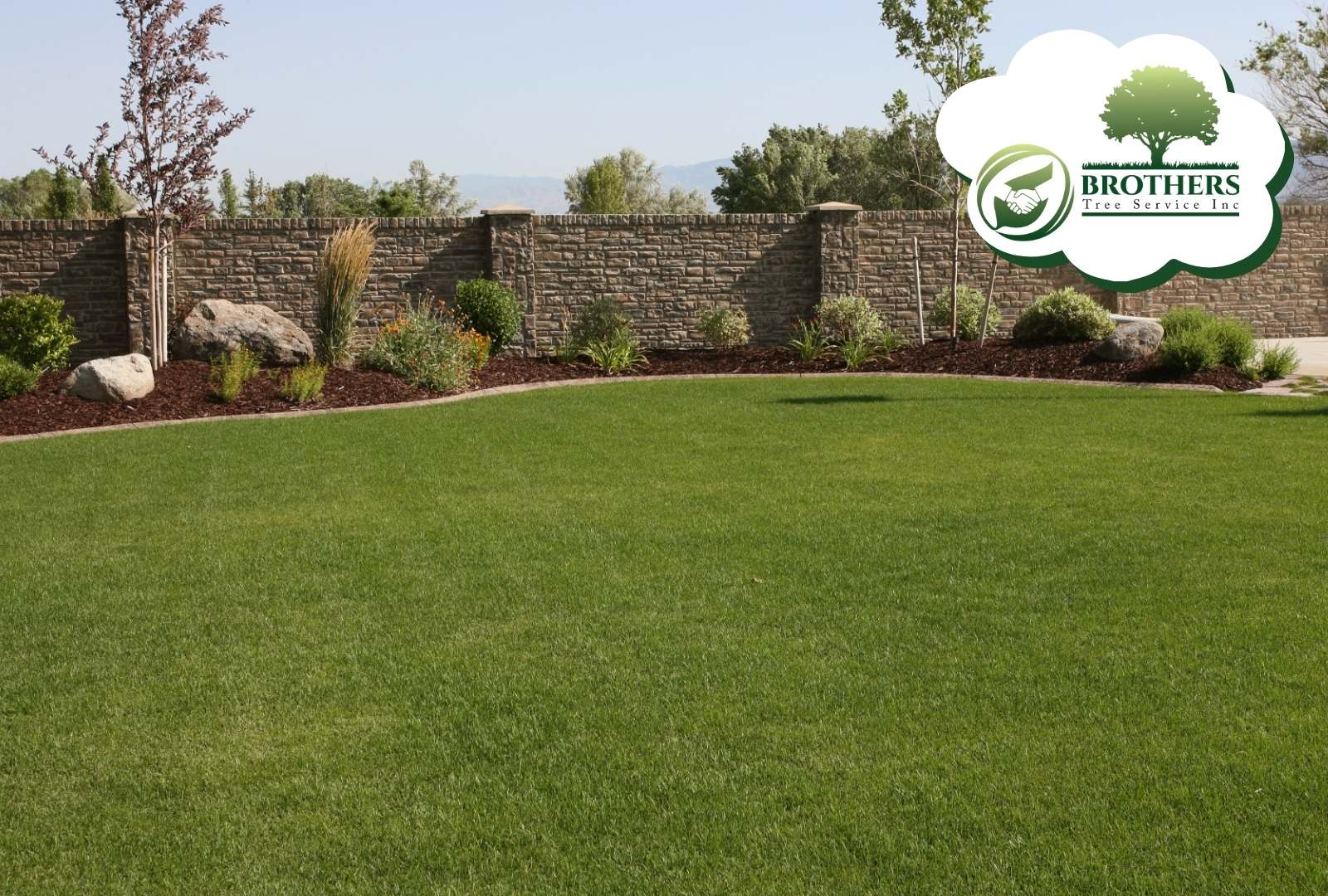 Before and after image of stump removal in a pet-friendly yard