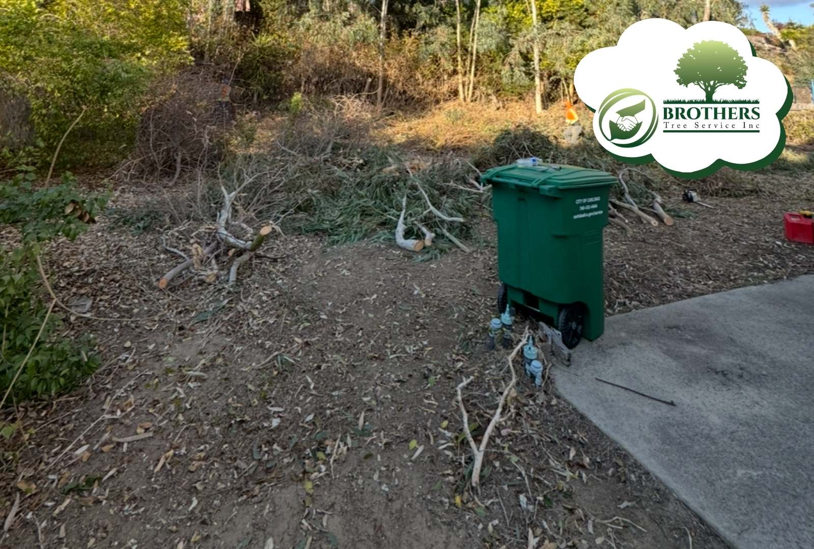 Safe outdoor space after stump grinding in Vista