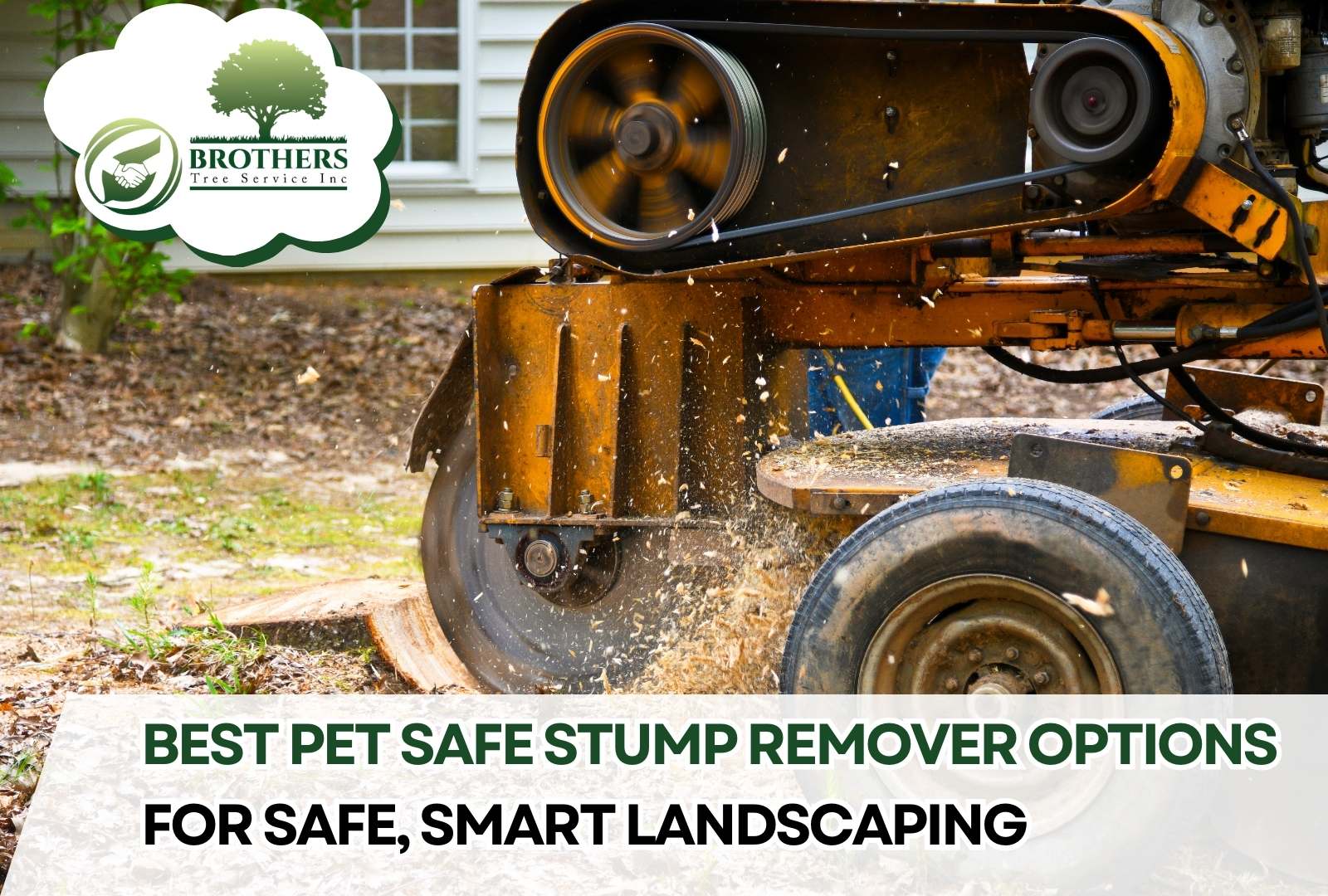 Stump grinding in progress with pet-safe equipment