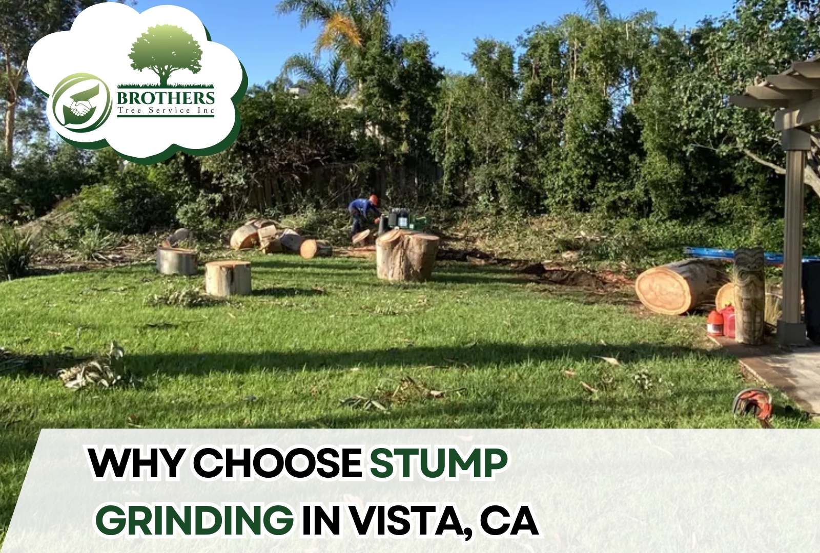 Stump grinding service performed in a residential yard in Vista, CA