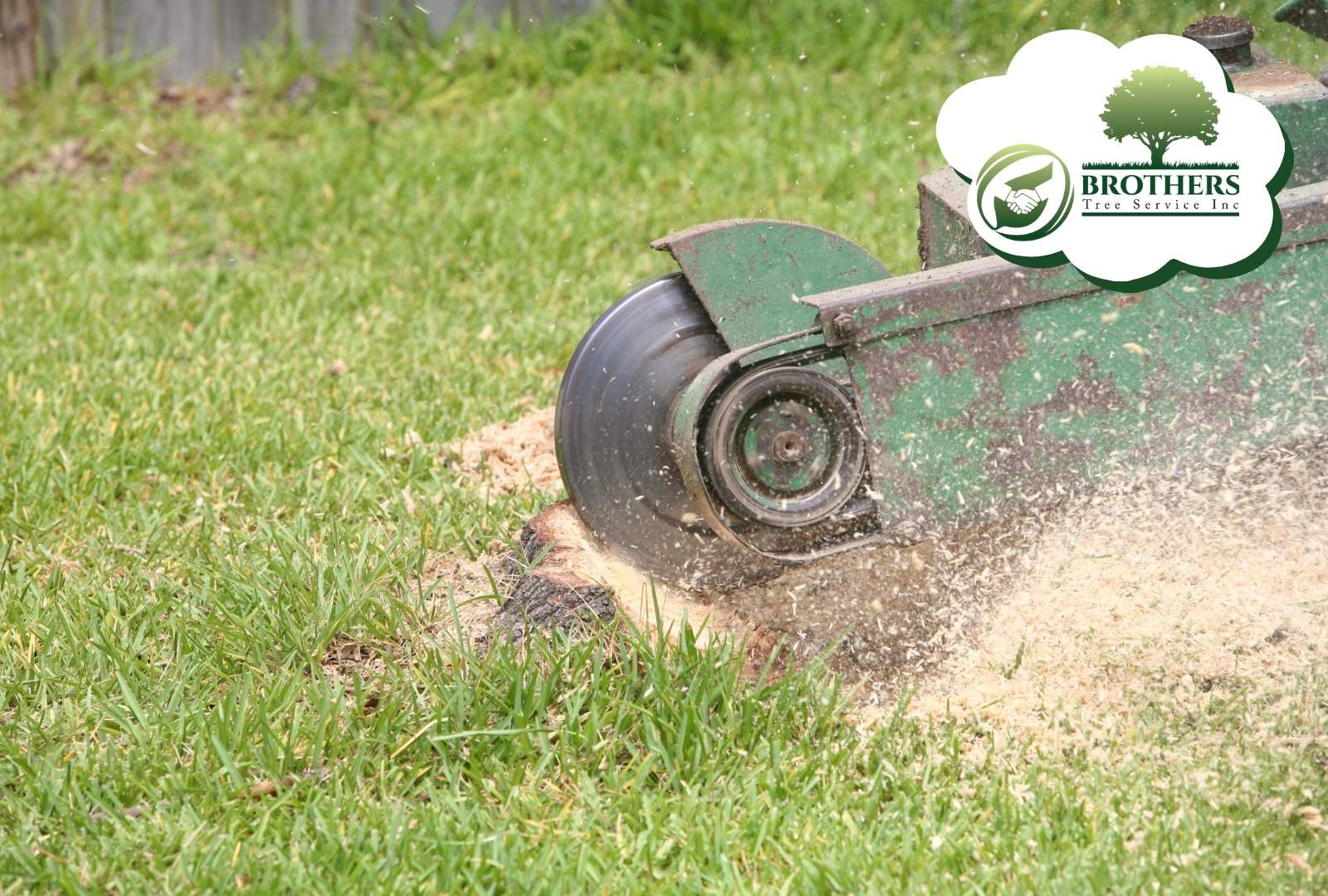Brother’s Tree Service expert performing safe stump removal