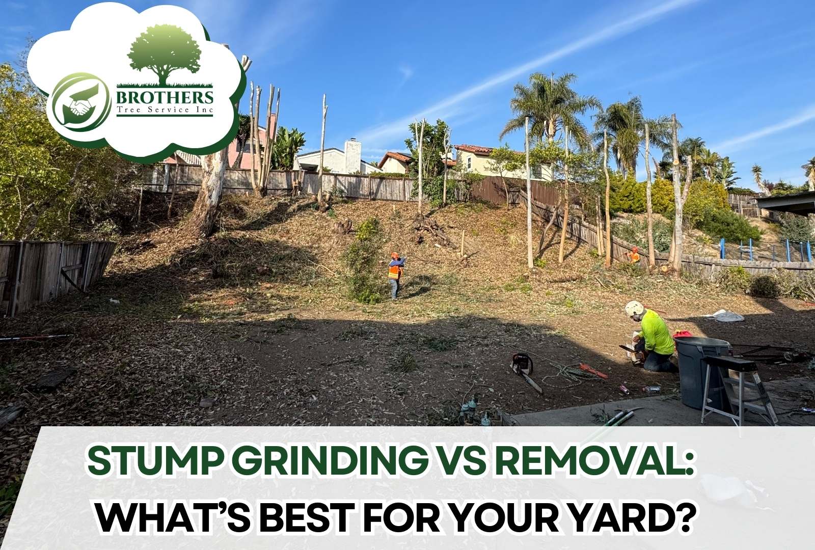 Tree stump being removed completely by expert crew