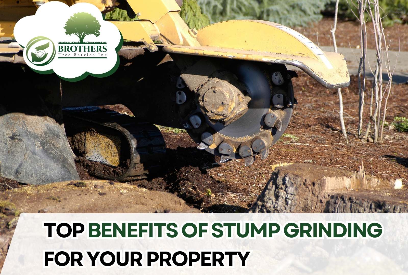 Clean Vista yard after stump grinding