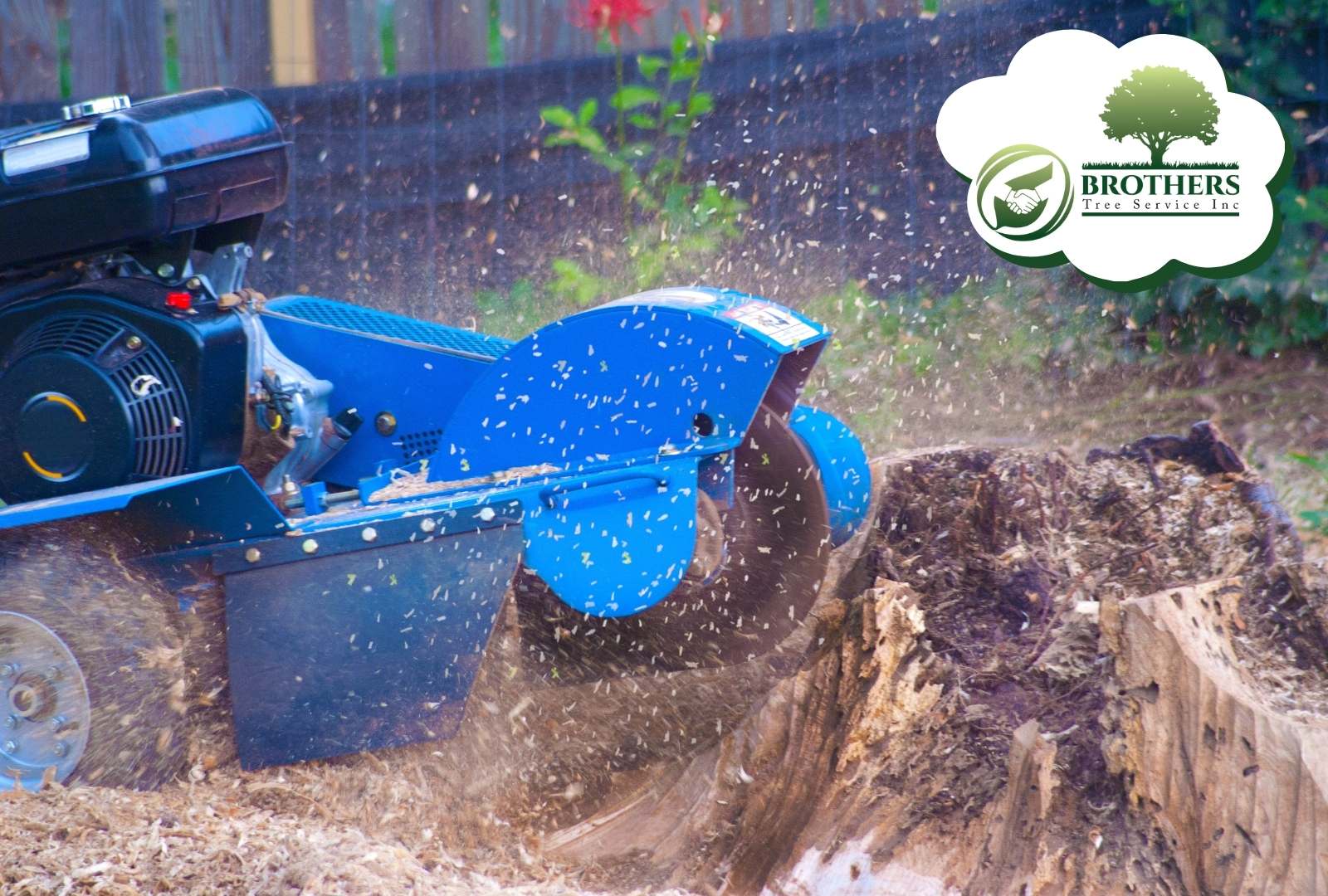 Walk-behind stump grinder in residential backyard