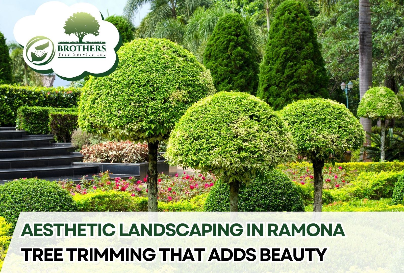 Beautifully trimmed trees enhancing a landscaped front yard in Ramona