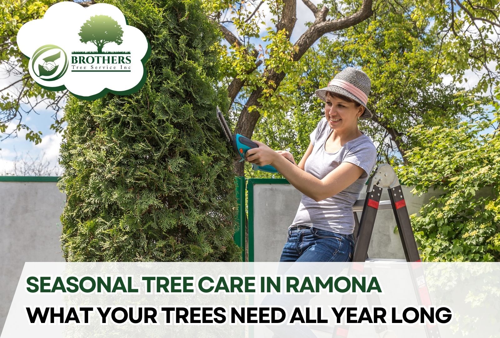 Homeowner inspecting tree buds and pruning in Ramona yard