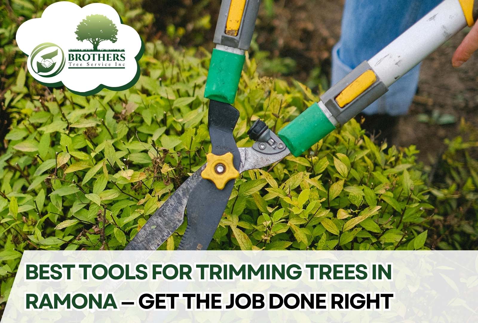 Professional pruning tools laid out for trimming in Ramona