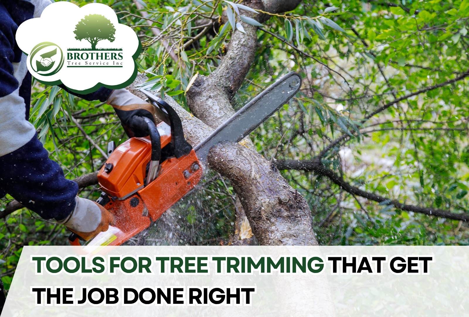 Person using loppers to cut a small tree branch
