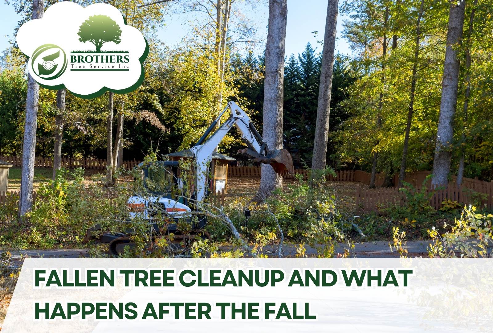 Tree removal crew cutting and clearing a large fallen tree