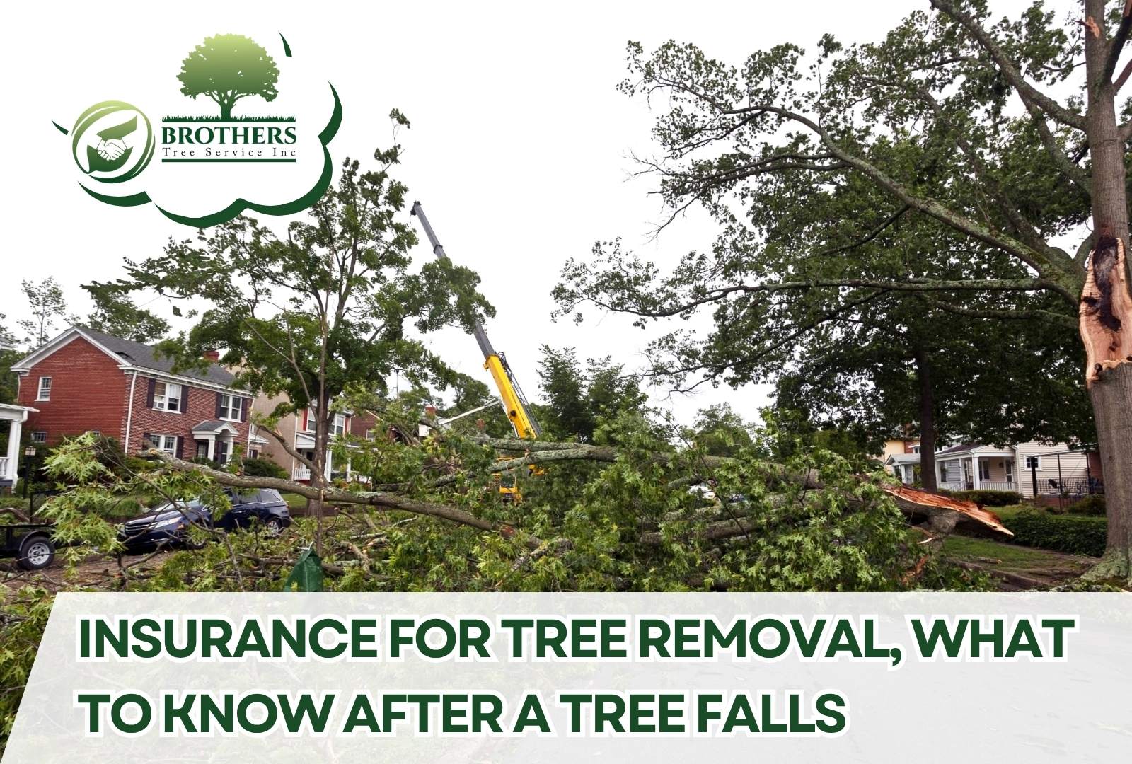 Storm damage tree removal in a residential neighborhood by Brother’s Tree Service INC