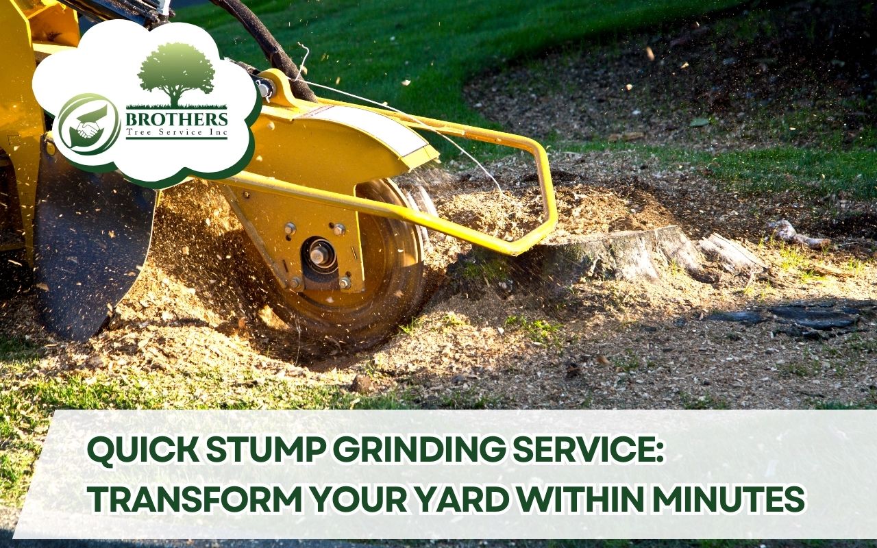 Professional stump grinding machine removing a tree stump in a yard