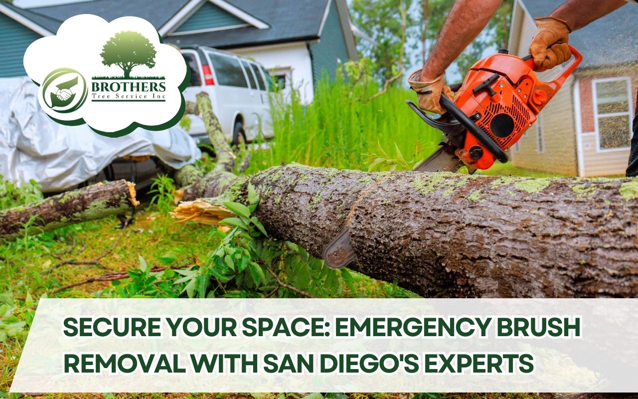 Emergency brush removal team clearing fallen storm debris in San Diego