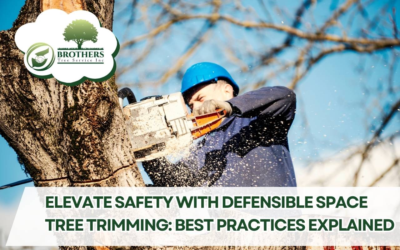 Defensible space tree trimming for wildfire safety