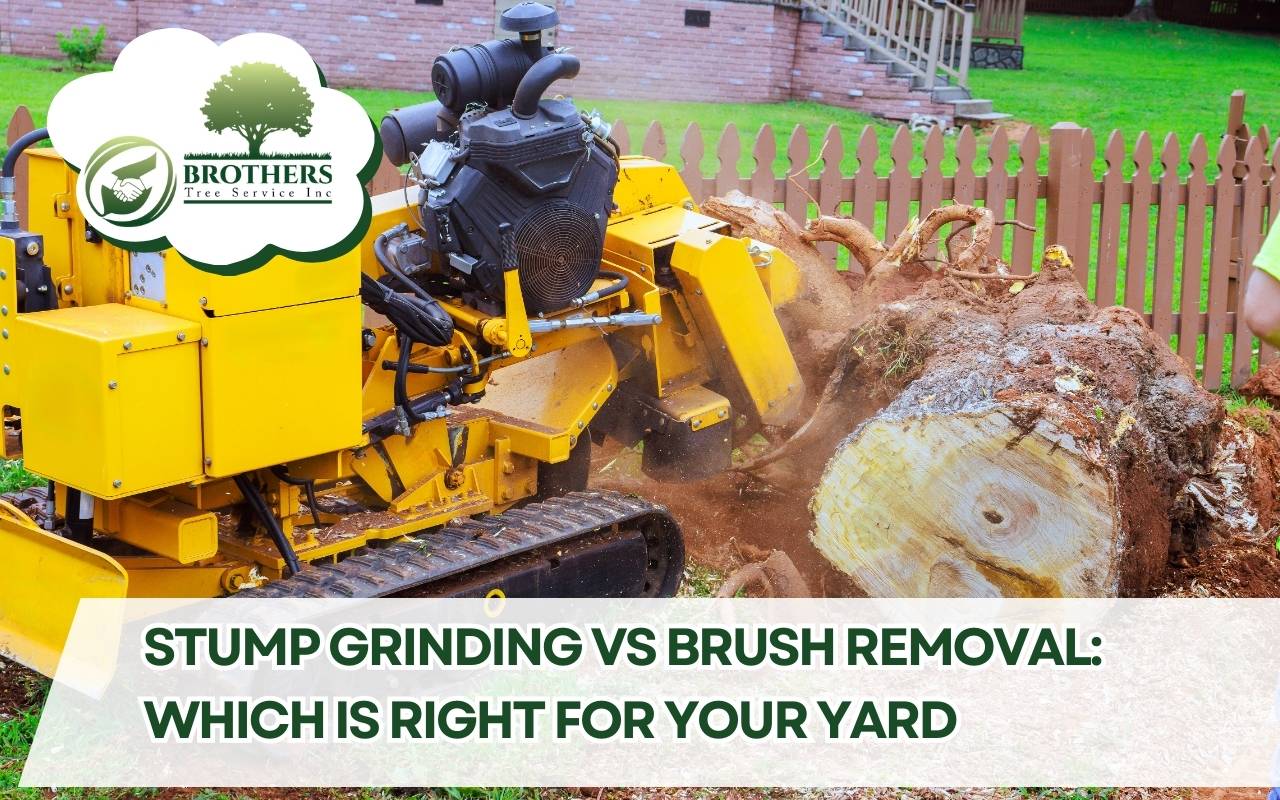 Stump grinding vs brush removal yard comparison