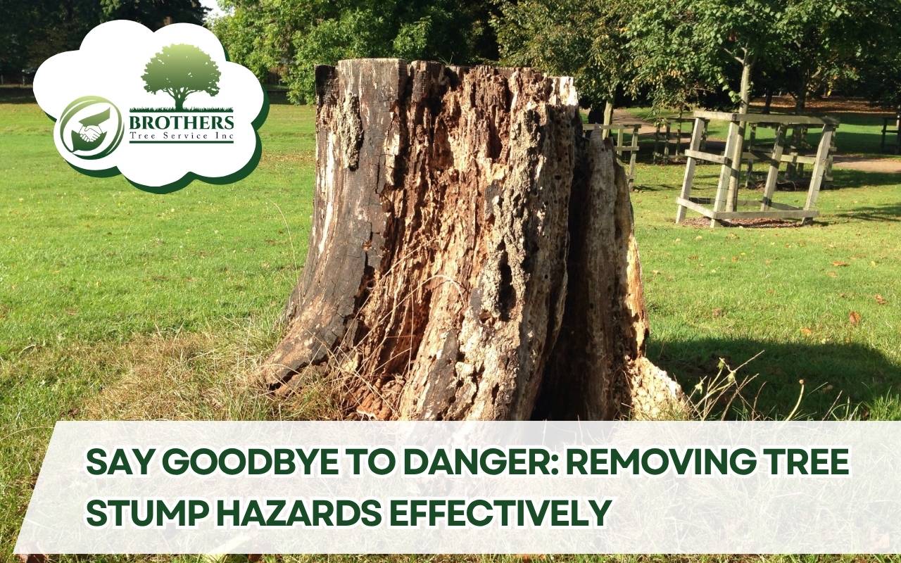 Homeowner safely removing tree stump hazards from backyard