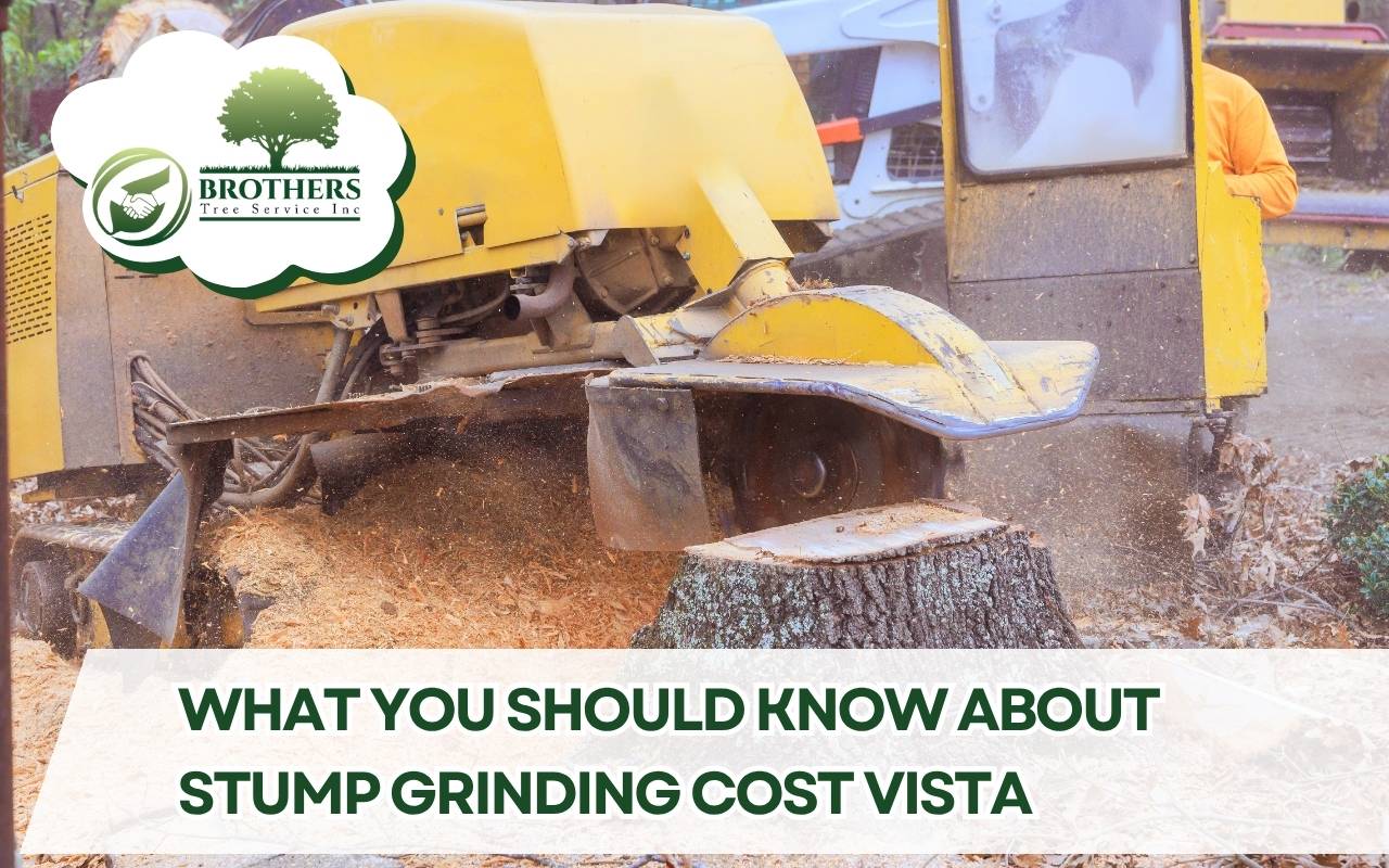 Professional technician operating stump grinder in Vista