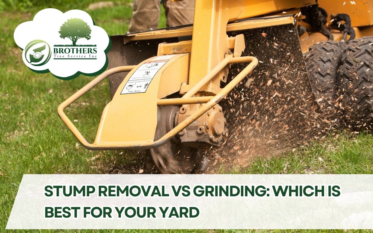 Professional arborist performing stump grinding process in a backyard