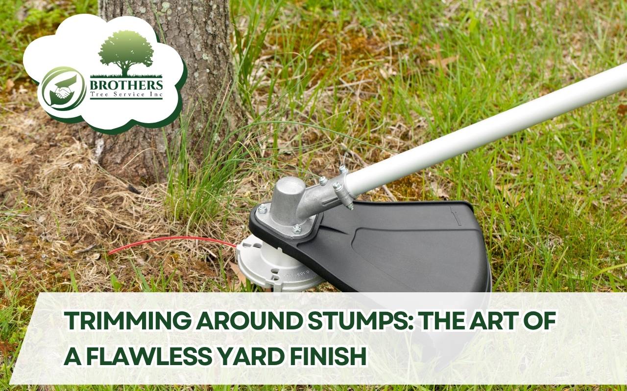 Essential tools used for trimming around stumps safely and efficiently