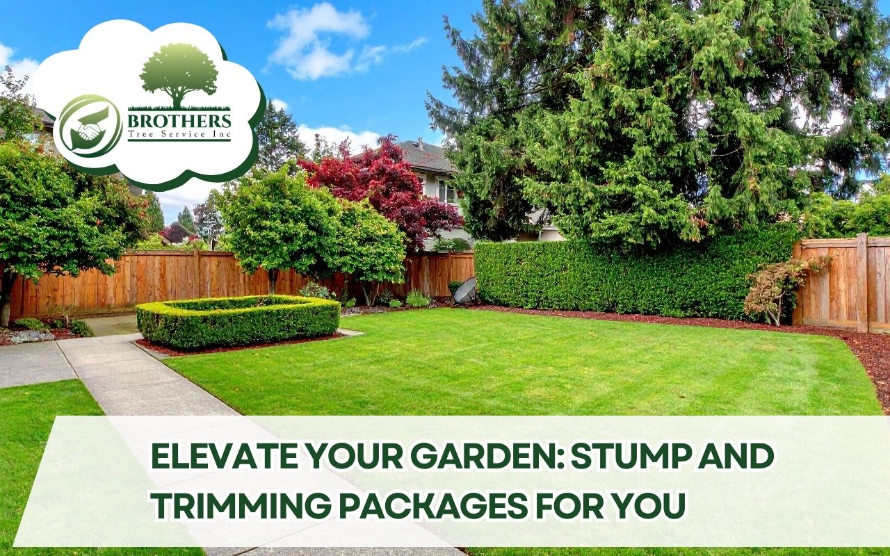 Post-service cleanup and mulch from Stump and Trimming Packages