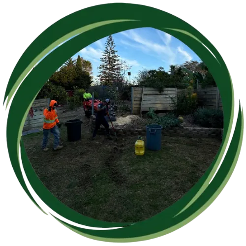 Efficient stump removal in San Diego using advanced tools