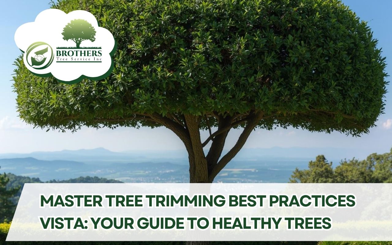 Checklist for Tree Trimming Best Practices in Vista