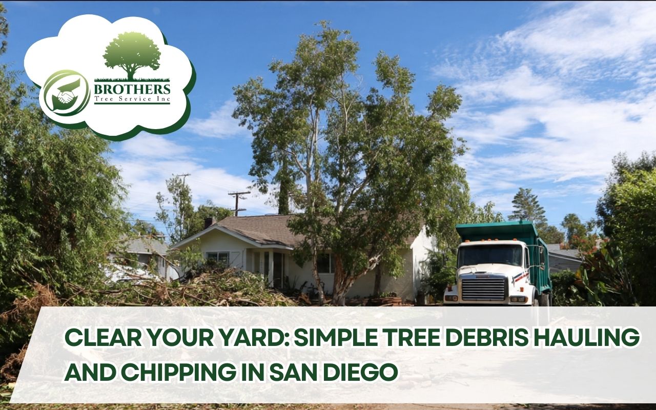 Tree Debris Hauling and Chipping in San Diego for a freshly cleaned residential yard