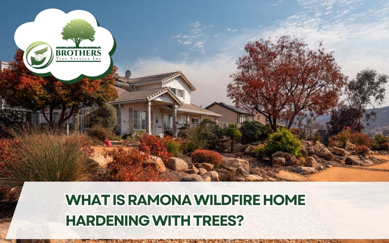 Ramona wildfire home hardening with trees in a safer front yard landscape