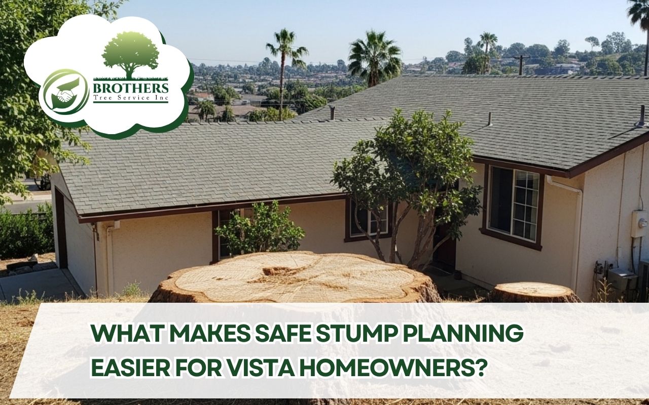 stump grinding permits and utility marking in Vista near tree roots